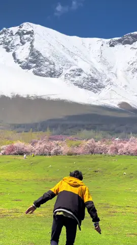 Chunda Valley 🌸🏔️ Dm on WhatsApp for Trips Details 👉03489930504 We Organise By Road & By Air Trips I| group tours Il private tours Il Honeymoon tours Il Customised tours Il By air and By Road tours Il A: List of every week public tours to different destinations from Lahore- Faisalabad & Islamabad Our Tour Packages: 08 Days Grand Hunza + Skardu Tour 07 Days Skardu, Deosai & Basho valley 06 Days Skardu & Basho valley 05 Days Hunza-China boarder & Nalter 05 Days Fairy Meadows & Nangaparbat 03 Days Swat-Kalam & Malamjabba 03 Days Arangkel Neelum valley Kashmir 03 Days Kumrat valley Tour 03 Days Naran Kaghan  B: By air trips - 5 Days By air trip to Skardu valley - 5 Days By air trip to Hunza valley - 8 Days Hunza valley plus skardu valley For Further Details Dm us, WhatsApp +923489930504 #unfreezemyacount #travelwithshahbaz_yousaf #dildilpakistan 