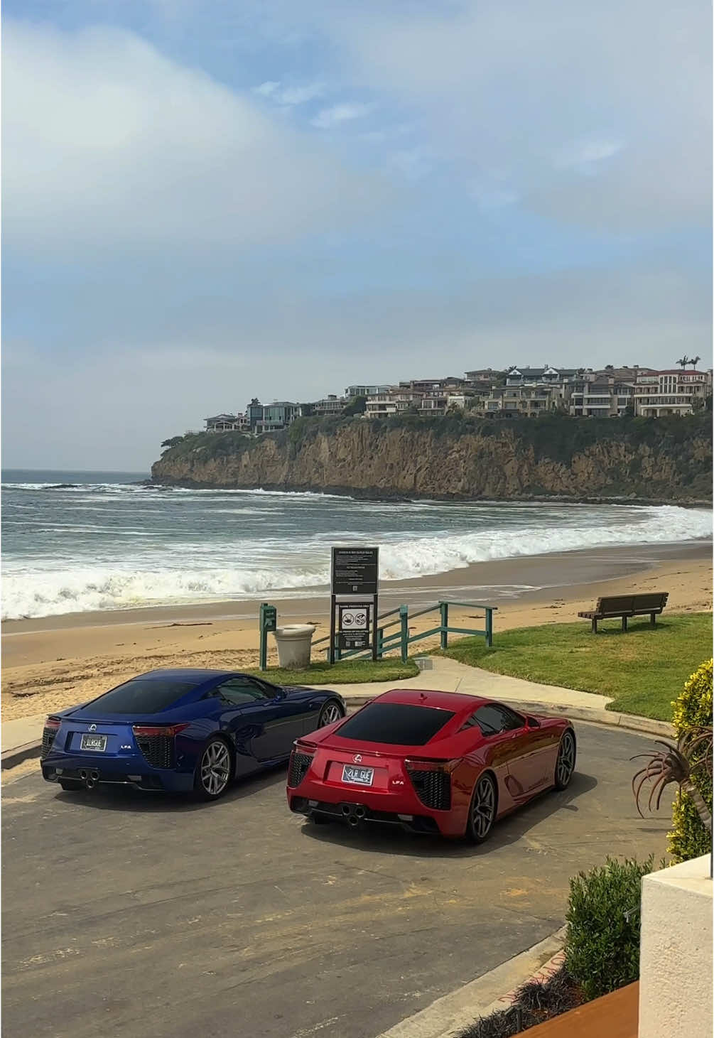 red pill or blue pill #lfa 