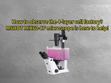 MIX60-CF#microscope #Routinebiologicalmicroscope #tiktok #factory #Biology 