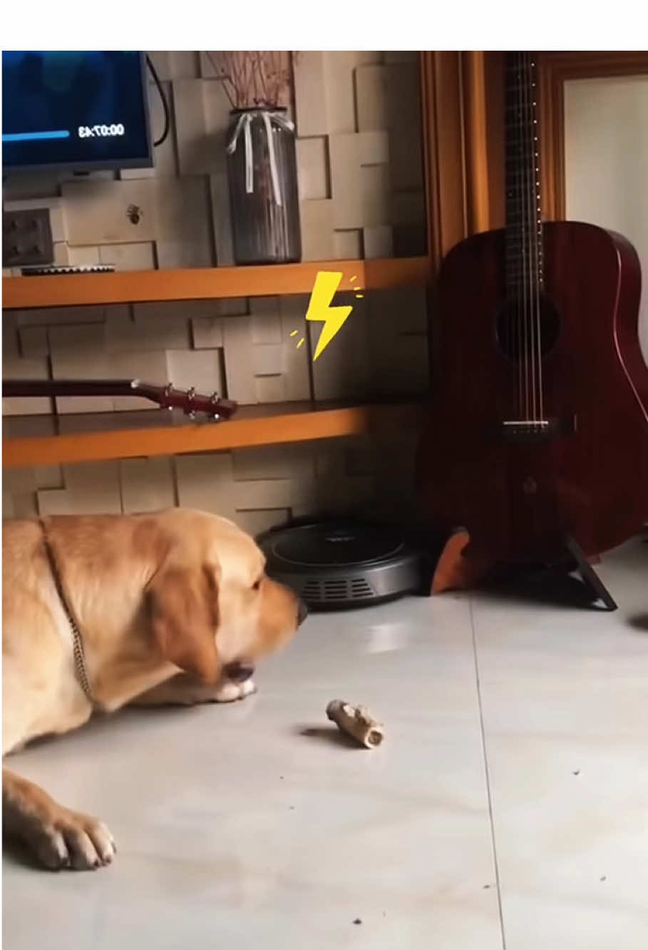 How dogs react when they hear thunder lightning⚡️🤣 #funny #funnyvideo #dog #😂😂 #cute #dogsoftiktoks #usa 