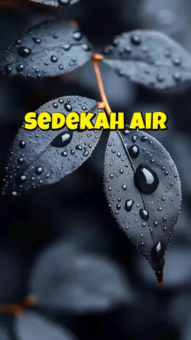 #sedekah #air #pahala #uang 