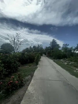 từ người thuong hoá người dưng#viralvideo #xuhuong #chill #canhdep #laxaliacanh #lebaobinh #68kiengiang #giồngriềng68g1 