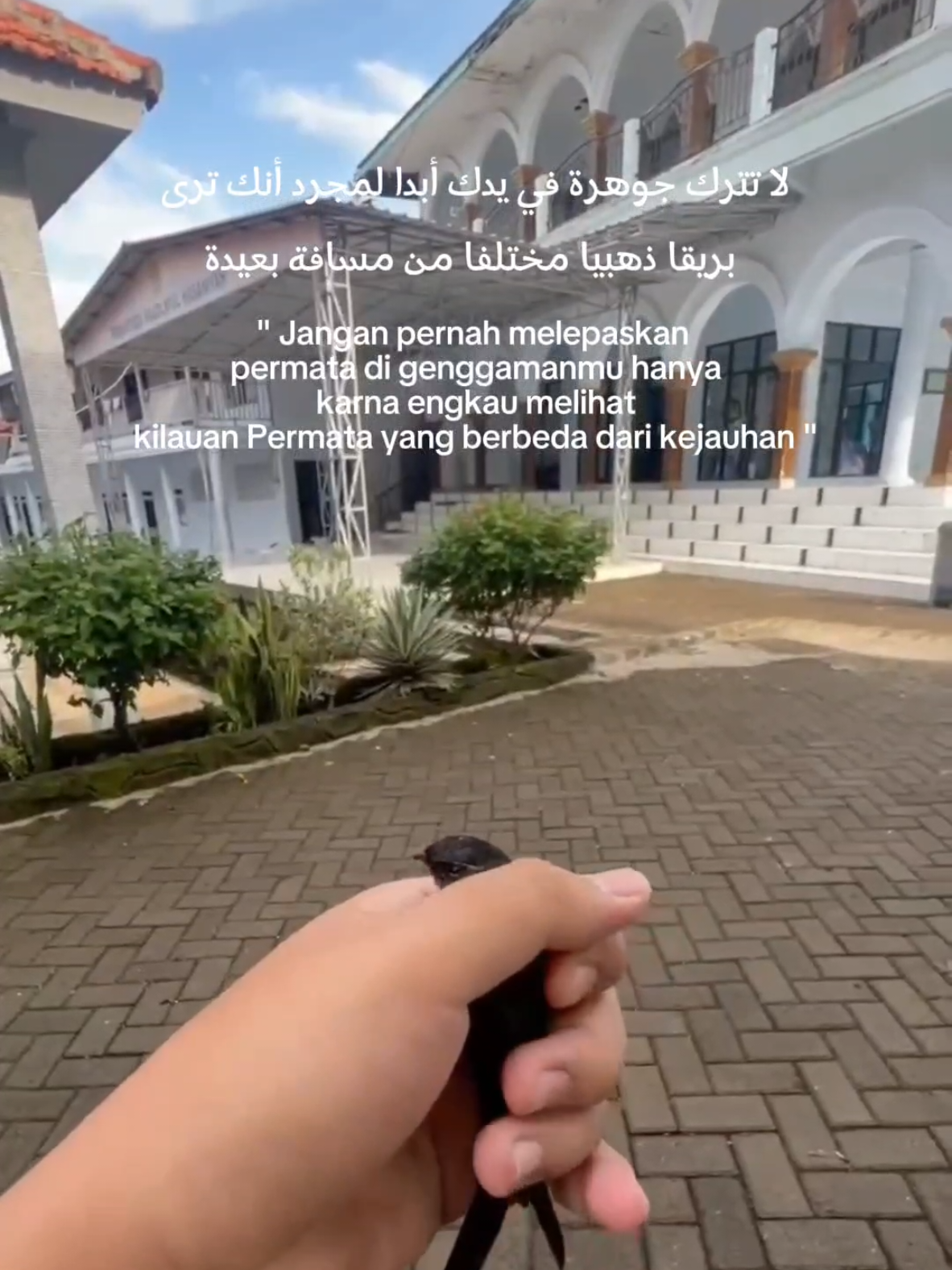 Self Reminder ✨ ❝Ketika Kurang kita diUji  Ketika Lebih kita juga diuji  Sampai Kita Mengerti arti dari Cukup❞ #mediapondokjatim #pondokjatim #santri #pondokpesantren #kalamhikmah #kalam #selfremender #fyp