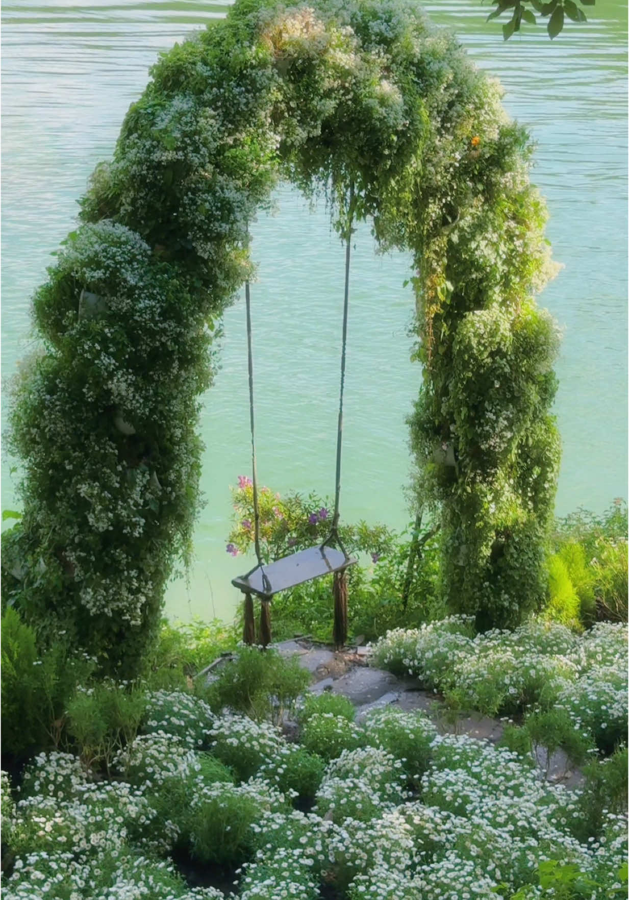 Áp lực thì đi Đà Lạt nhé  #dalat #canhdepdalat #dulichdalat #coffeedalat #happyhilldalat 