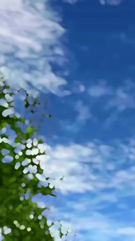 sakura school simulator                            #tiktok #Vlog#gatau#ah#cape#followme #Vlog #lagi? #hastag #just #foryou