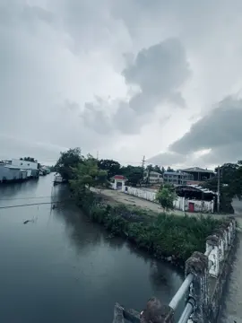 “ánh mang mai vừa lên 