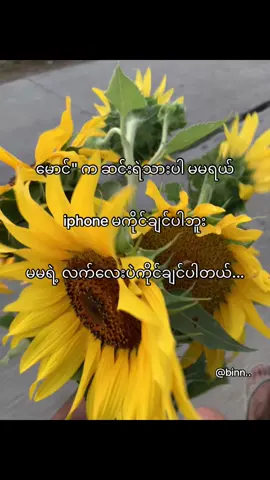 ကပ်ပရှင်မပါဘူး..#fyppppppppppppppppppppppp #binn #fyp #tiktok #စာတို #viralvideo 