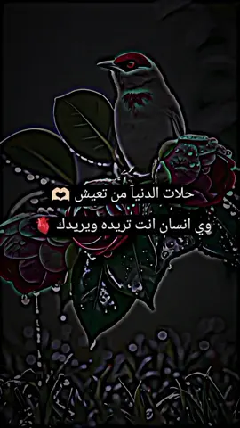 #💔🥺🥀 #
