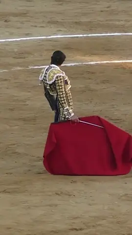 Deux oreilles pour Sébastien Castella à Castellón #toro #feria #corrida #fyp