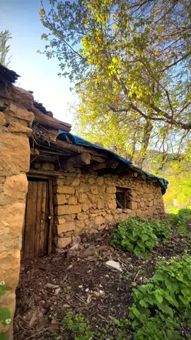 گوند 🌳🫀 #a7mee22 #arbil_iraq_sulaymanya_duhok_karkuk #شعب_الصيني_ماله_حل😂😂 