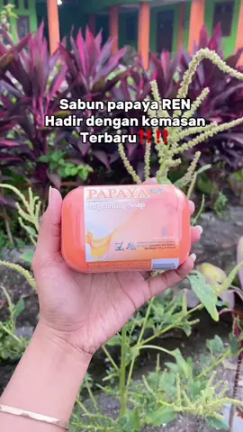 Sabun REN hadir dengan kemasan yang terbaru‼️ #sabun #sabunviral #sabunwajah #sabunpapaya #sabunbpom #sabunpapayaviral #produkbpom #sabunbatang #PromoGuncang44 #promoguncang44 