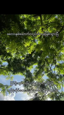 လေထဲကအိမ်လေးပေါ့//#fyp #foryou #foryoupage #myanmartiktok🇲🇲🇲🇲 #myanmartiktok #viral #fyppppppppppppppppppppppp #fypシ゚ #tiktokmyanmar 