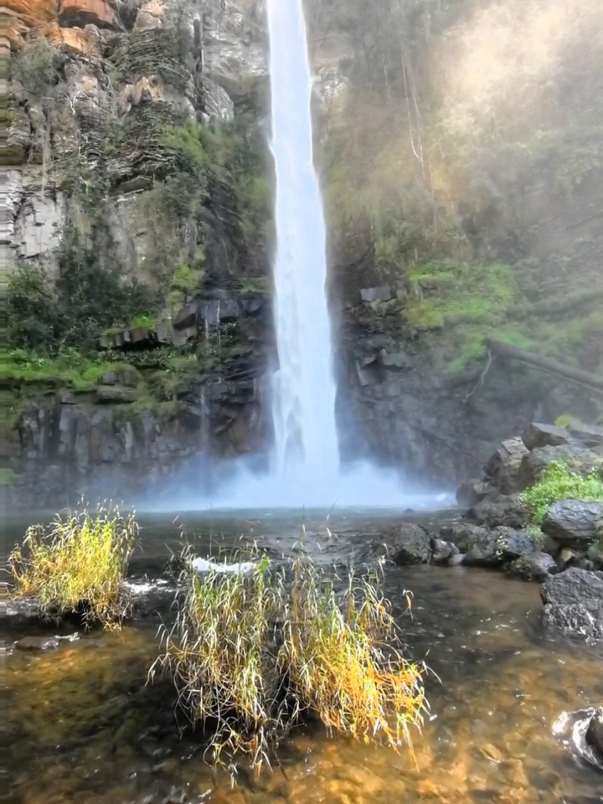 #mpumalangawaterfalls #panaromaroute #hikingadventures #SAMA28 #lonecreekfalls #chasingwaterfalls 