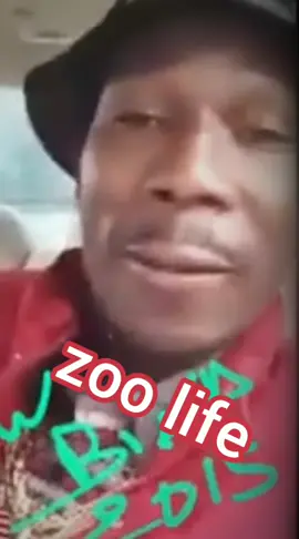Ankara bain #zoolife #aloumogotigui #conseil #fpy #viral_video #motivacion 