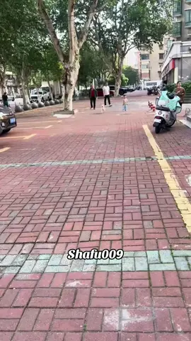 #粉丝一千万#pet#pets#cute#funny  #dog#funnydog#funnyvideos#viral #foryou#IoI#fyp#fypシ゚ 