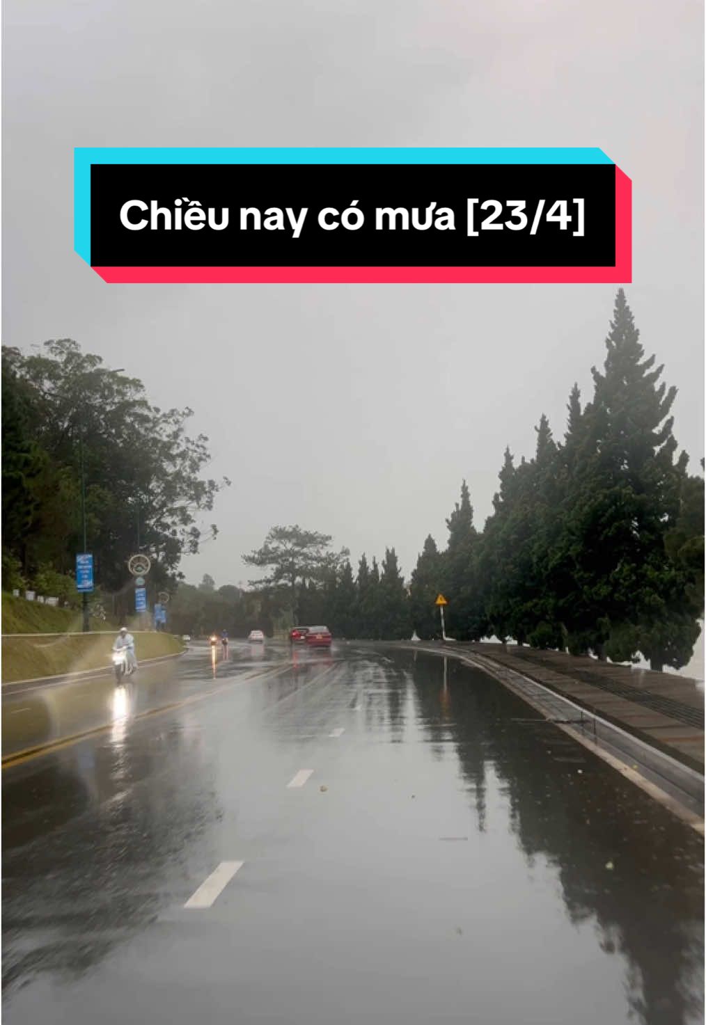 [23/4/25]: Cơn mưa chiều nay #dalatstatus #dalat #mưa #chuvietreview #chill 