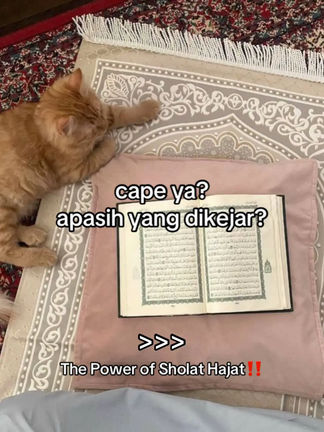 Andalkan Allah di setiap langkahmu, insyaAllah dipermudah dan dilancarkan✨ Amalkan sholat hajat juga agar doa-doamu cepat terkabul🤍 #reminderislamic #sholathajat #doaterkabul #amalan #sukses #sholatsunnah #istiqomah #fypislamic 
