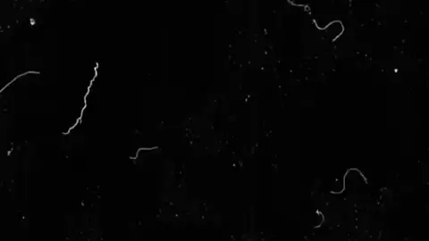 #your_sulayman#madarauchiha #foryoupage