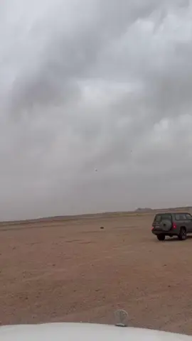 هدد بارود 🦅🦅 #explore #الخبوب #ضراس #fyp #القصيم #اكسبلور #مملكةالقصمان #جكس #هدد #ماشاءالله #حر #صقر 