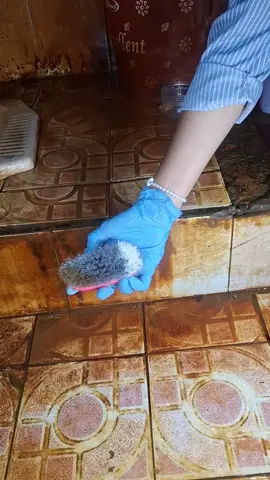 bersihin kerak membandel jadi super mudah bgt kalo pake cairan yang warna pink ini! #pembersihkerak #solusikerakmembandel #toiletcleaner #premium #pushclean 