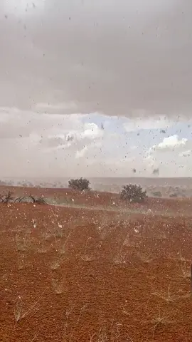 #اكسبلورexplore #🌧️💔💔🥺🌧️ #امطار_الخير #capcut 