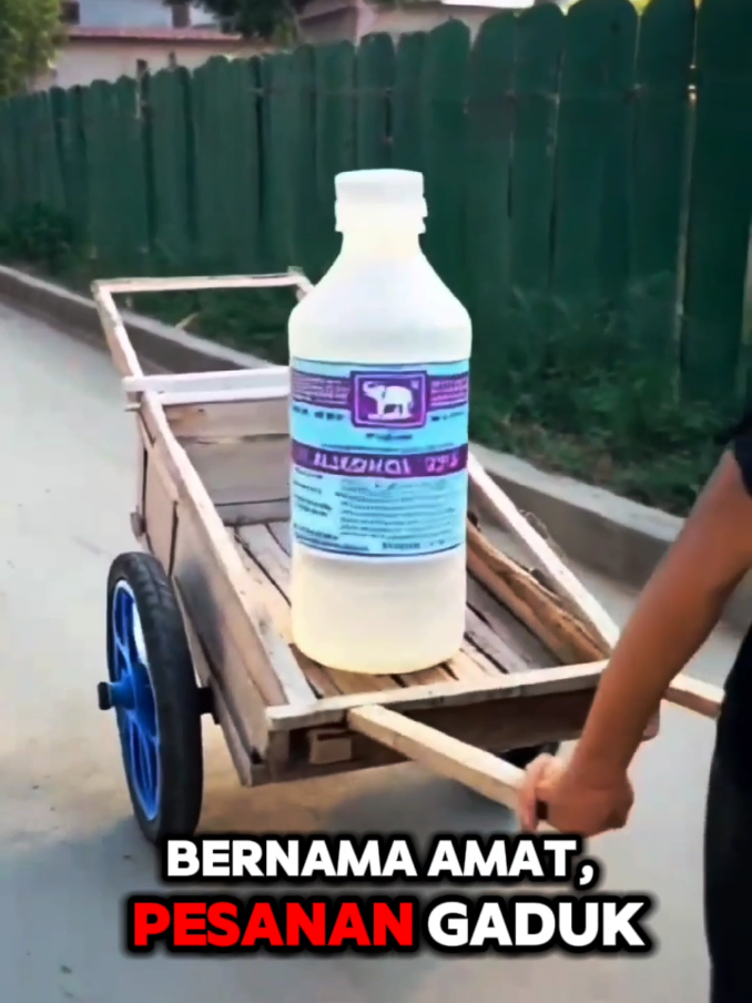 Buat Yang Bernama Amat 😁😁😆😆 #kalimantan #banjarmasin #lagugadukgajahduduk #gaduk #videolucu #komedi #fyp  #fyppppppppppppppppppppppp 