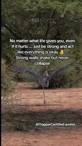 #frypgシ #motivation #dailyquotes 