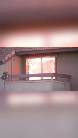 Cat 😼#funnyvideos #cat #fyp #pet #funnycat #catoftiktok #catlover #kitten #tiktok #