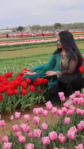 Ishq hua❤️‍🔥#foryoupage #trending #bdtiktokofficial🇧🇩 #bollywood #foryouu #fypシ゚viral 