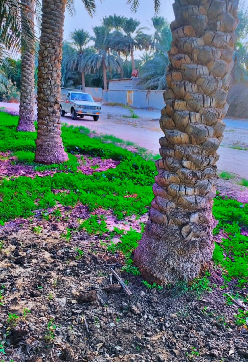 #عيسى_الاحسائي #الحنجرة_الذهبية #فتى_الشرقيه #طاهر_الاحسائي #هرم_الفن_الشعبي #الوادي_الاخضر #الأحساء_المبرز #الهفوف #شعبيات #بشير_حمد_شنان #قديمك_نديمك #توراثنا #نوادر #هايلكس77 #كلاسيك #هاشتاق #ترند #الاكسبلور🔥 #الشعب_الصيني_ماله_حل😂😂 