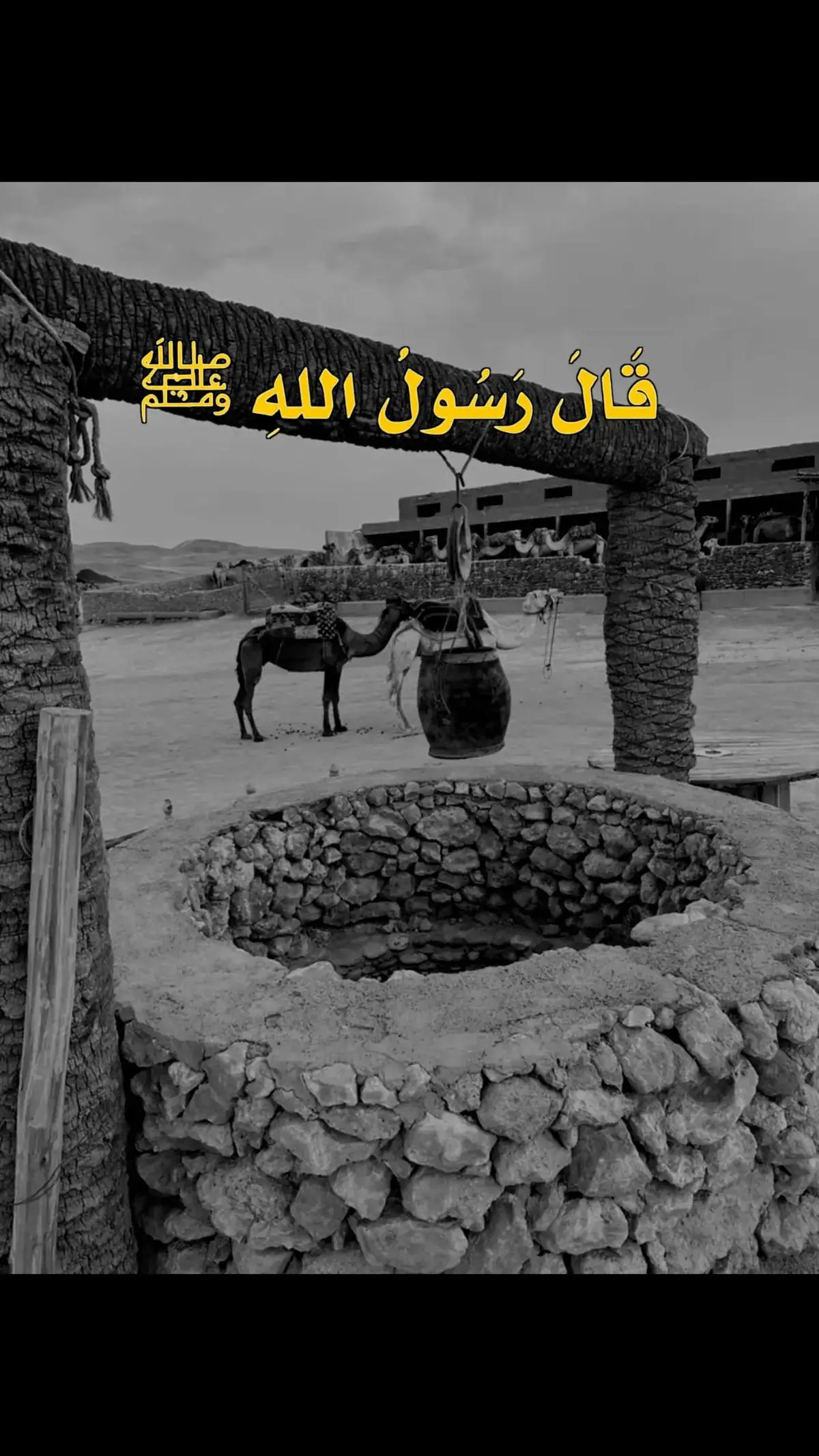 #صلو_على_رسول_الله_صل_الله_عليه_وسلم #الرسول_محمد_صلى_الله_عليه_وسلم #النبي_محمد_صلى_الله_عليه_و_آله_وسلم #صلي_علي_النبي_محمد_صلي_الله_عليه_وسلم #صلي_علي_النبي_محمد_صلي_الله_عليه_وسلم #صلوا_على_رسول_الله #صلوات_ربى_وسلاما_عليك_يارسول_الله #صلى_على_رسول_الله_صل_الله_عليه_وسلم #محمد_صلى_الله_عليه_وسلم #اللهم_صلي_على_نبينا_محمد #صلوا_على_النبي #صلوا_على_رسول_الله🤲🕋 #اللهم_صلي_على_نبينا_محمد #اللهم_صل_وسلم_على_نبينا_محمد #اللهم_صل_على_محمد_وآل_محمد #عليه_افضل_الصلاه_والسلام #عليه_افضل_الصلاه_والسلام🙏💖 #محمد_رسول_الله #محمد_رسول_اللہ_صلی_علیہ_وسلم #دعاء #دعاء_يريح_القلوب #دعاء_جميل #دعاء_يريح_القلوب_ويطمئن_النفوس #دعاء_عظيم #دعاء_الرزق #دعاء_مستجاب #ادعية #ادعية_اسلامية_تريح_القلب #ادعية_دينية #ادعية_دينية #ادعية_يومية #ادعية_اذكار_تسبيح_دعاء_استغفار #ادعية_مستجابة #دعوات #الدعاء #الدعاء_المستجاب #الدعاء_يرفع_البلاء #الدعاء_يغير_القدر #ياربي #الله #اللهم #CapCut #قران #قران_كريم #قران_كريم_ارح_سمعك_وقلبك #قران_صلي_علي_النبي ##القران #القران_الكريم #القران_الكريم_راحه_نفسية😍🕋 #القران_راحة_نفسية #القرانالكريم #القران_الكريم_راحه_نفسية #القران_اطمئنان_لقلبك #تلاوة #تلاوة_خاشعة #تلاوة_خاشعة_صوت_يدخل_قلب #تلاوة_مؤثرة #تلاوة_خاشعة_تريح_القلب_والعقل🎧😴 #ارح_سمعك_بالقران #ارح_سمعك_بالقران 