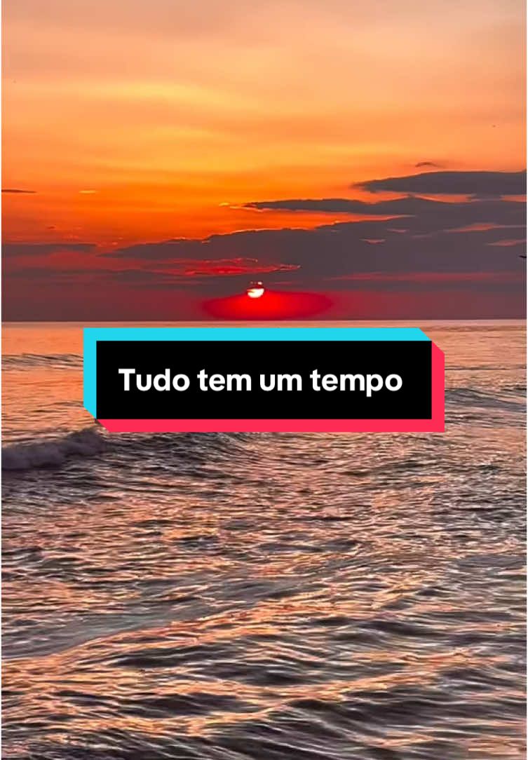 Nem sempre entendemos o tempo de Deus...Mas Ele nunca erra.🙌🫀🌻 #Deus #fé #gratidao #reflexao #CapCut #motivation #status #tiktok #impulsionadapelafé #motivaçãoparavida #oracao #inspiração #cristao #frase #reflexaododia #statuswhatsapp #CapCutMotivacional 