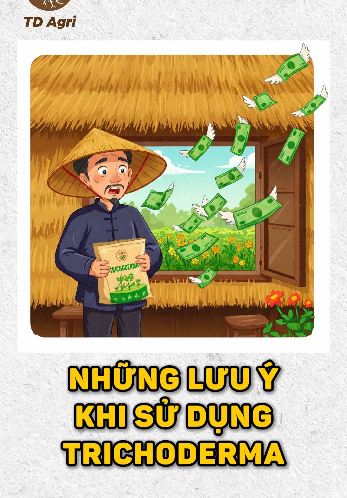 Nhứng lưu ý khi sử dụng Trichoderma #tdagri #phanbon #dinhduongcaytrong #trichoderma 
