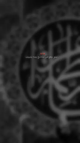 هَم فَِـاقد أمَِـك/ج💔؟  #سيد_فاقد #المصممه_وهم #tiktokindia #viraltiktok #explore 