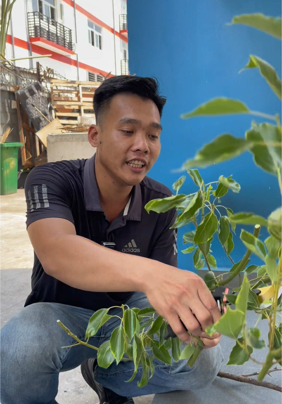 Kéo cắt cành #thinhhanh #huuhoaibaotri #huuhoaithodien #xuhuong #thodien #keocatcanh 