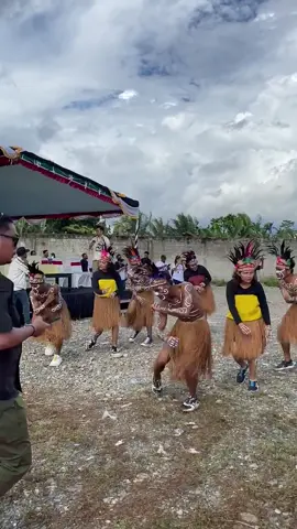tarian adat #papua #timikapapua #fy #fyp 