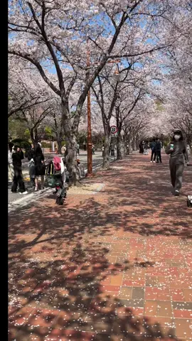 #beautiful #korean #wow🥰 🥰🥰