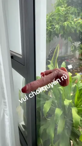 #chimgiavuichoiquyenru