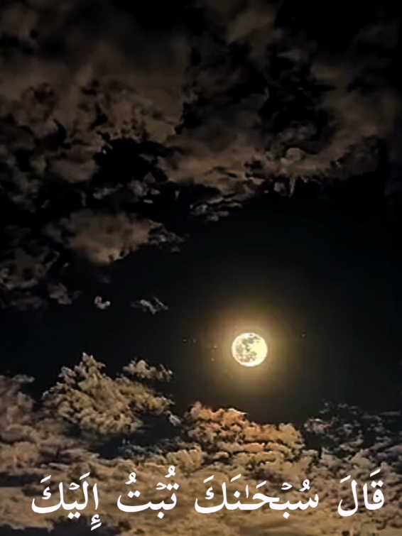 ﷽﴿واذكر ربك إذا نسيت﴾ 🤍  سبحان الله   الحمدلله   لا إله إلا الله   الله أكبر  سبحان الله وبحمده   سبحان الله العظيم #سورة_الاعراف #ولما_جاء_موسى_لميقاتنا_وكلمه_ربه #واذكر_ربك_إذا_نسيت #اسلاميات #القرآن_الكريم #قرآن_بصوت_جميل #سبحوا  #اجر_لي_ولكم  #ايات_قرآنية #آيات_بينات #تدبروا_الايات🤍 #استغفروا #صلوا_على_النبي♥ #لا_إله_الا_انت_سبحانك_اني_من_الظالمين♡ #آلاءشريف #قرآن  #سبحان_الله_وبحمده_سبحان_الله_العظيم #🖤آلاء⛓️  #Quran #Quran #quran_alkarim #ayat_bainat #quran 