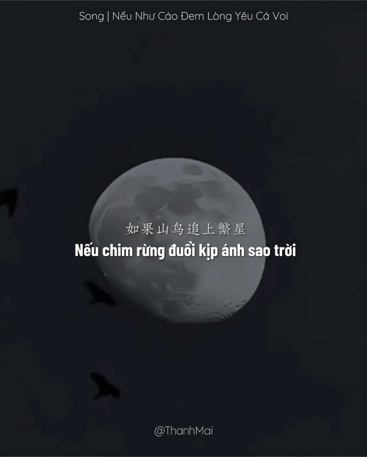𝙉𝙚̂́𝙪 𝙣𝙝𝙪̛ 𝙘𝙖́𝙤 𝙙𝙚𝙢 𝙡𝙤̀𝙣𝙜 𝙮𝙚̂𝙪 𝙘𝙖́ 𝙫𝙤𝙞, thì  𝙑𝙤̛̉ 𝙠𝙞̣𝙘𝙝 𝙩𝙞̀𝙣𝙝 𝙮𝙚̂𝙪 𝙘𝙪̉𝙖 𝙗𝙤̂̀ 𝙘𝙖̂𝙪 𝙩𝙧𝙖̆́𝙣𝙜 𝙫𝙖̀ 𝙦𝙪𝙖̣ 𝙙𝙚𝙣 đã thành hiện thực rồi  . .                                  _                                                                 _  #如果狐狸爱上蓝鲸 #caoyeucavoi #nhactrungquoc #lyrics #vietsub #thanhmai02112005 