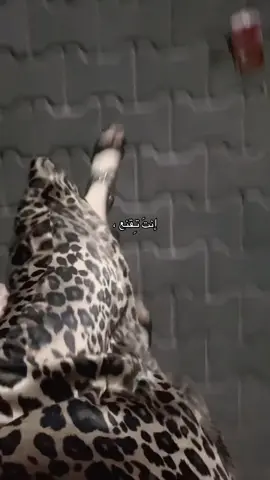 هيج جازيت اليحبك؟ #لايك #foryou #fypシ゚ #مالي_خلق_احط_هاشتاقات 