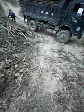 Đủ tải#xetai#xh 