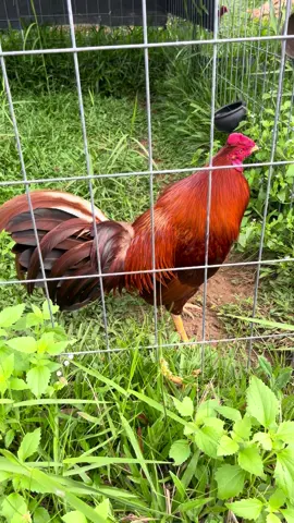 Quá tới r hẹn ae t2 cpc5 nhé😆😆😆