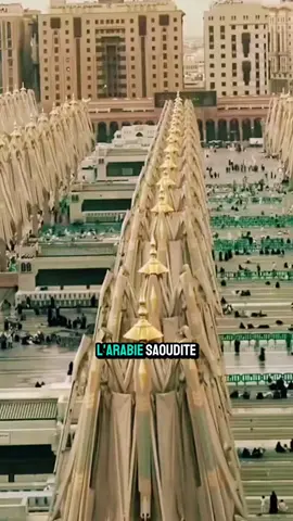 Les plus grands parasols du monde rafraîchissent Médine et impressionnent les visiteurs.