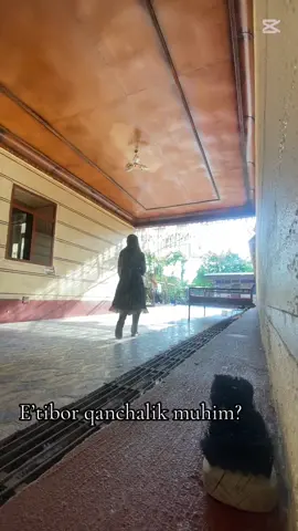 Tik toker bo’p ketsam a🤣#uzbekistan🇺🇿rossiya🇷🇺 #m #er #coment #flypシ #fyp #uzbek #musica #kulgu #kelin #comed #uzbeki #tiktoknews 