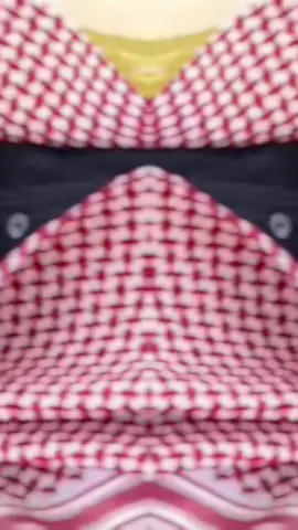 #حكامناآل_سعود #السعوديه🇸🇦 #السعوديه🇸🇦💚 #اكسبلورexplore 