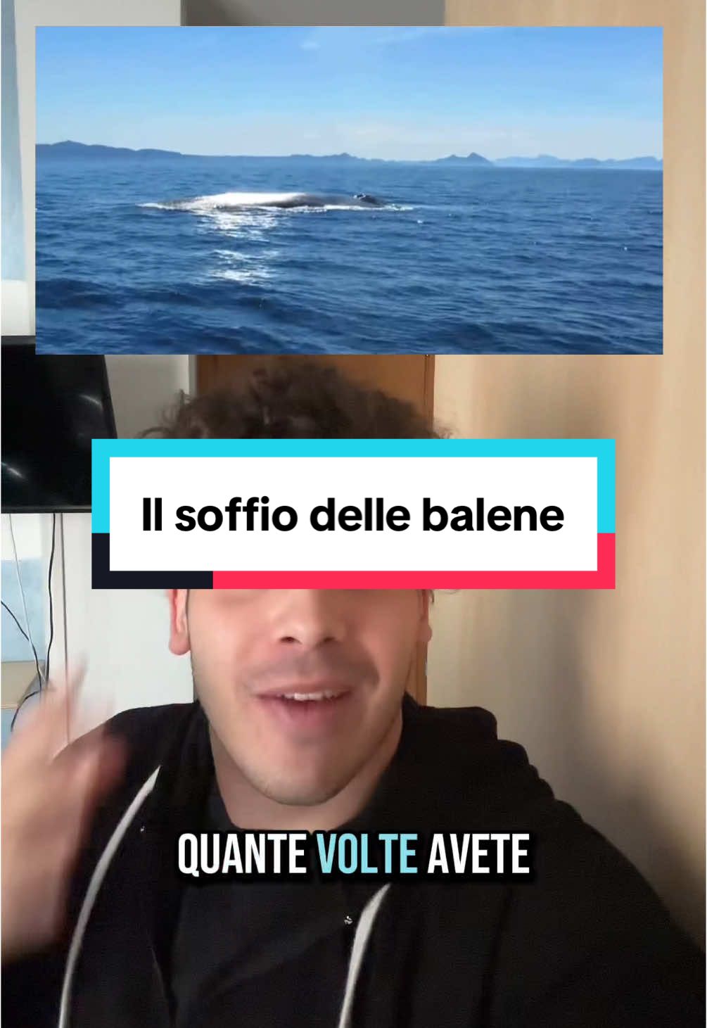 Il soffio delle balene👀