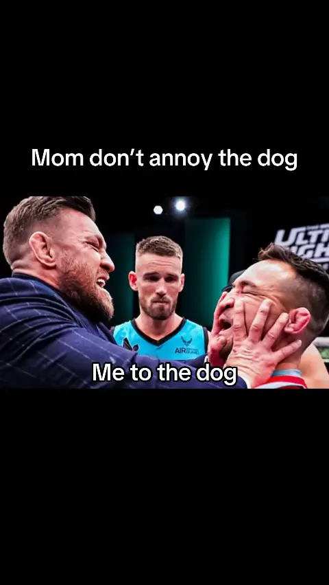 #conormcgregor #dog #michaelchandler 
