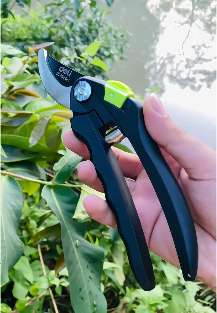 Kéo Cắt Tỉa Cây Cảnh Làm Vườn Deli Tools Với Lưỡi Thép SK5 Sắc Bén, Tích Hợp Chức Năng Khóa An Toàn Chống Trơn Trượt Với Hệ Thống Lò Xo Hạn Chế Mỏi Tay#keocatcanh #keocatcay #keocattiacanhcay #deli 