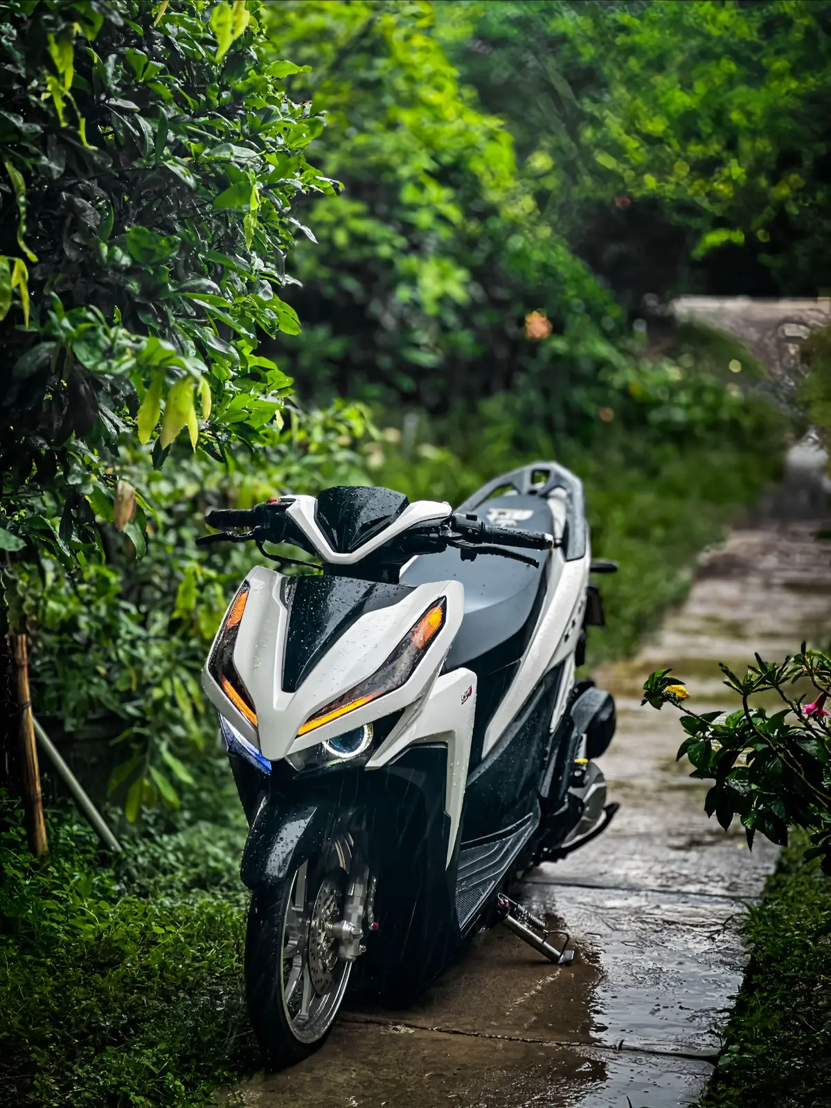 #vario125 #click125i #xuhuong #doantanphong🌊 